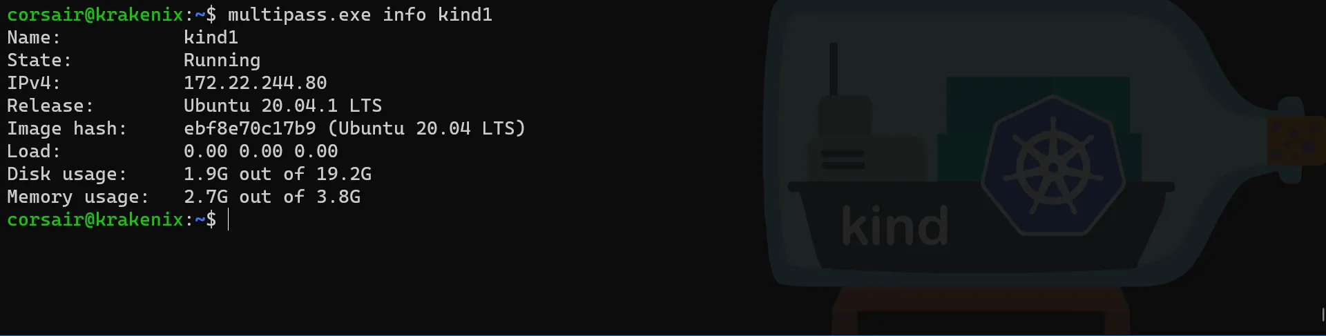 Multipass VM info