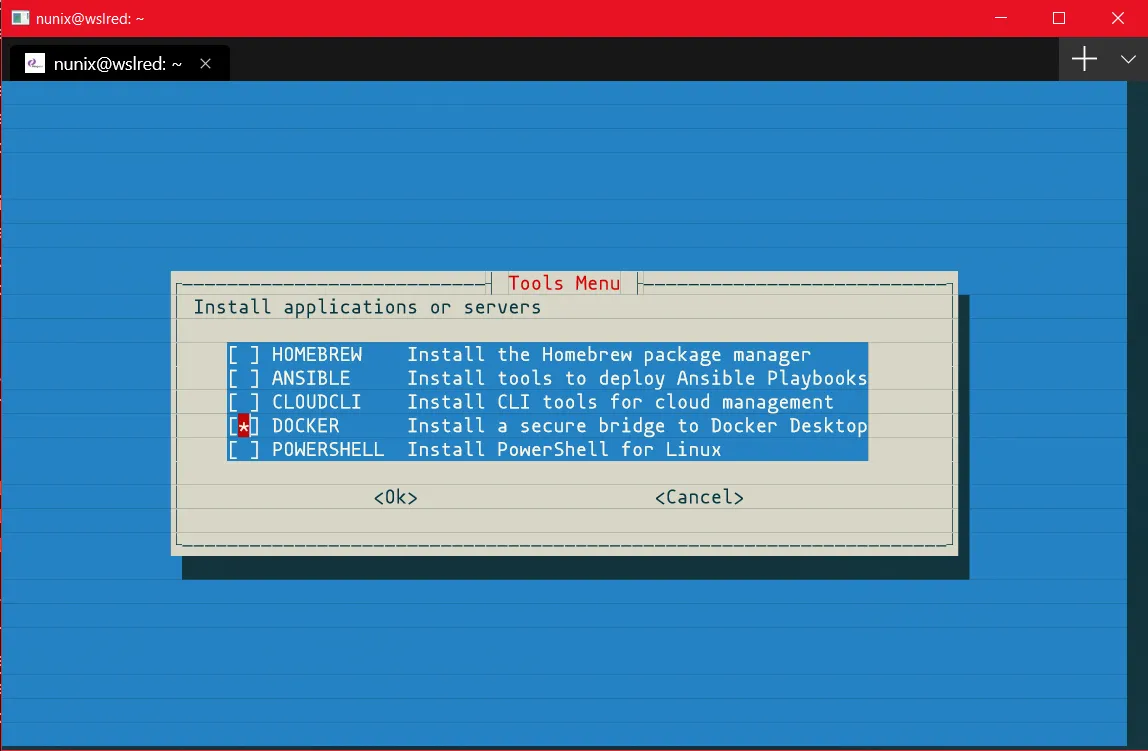 Pengwin setup: docker
