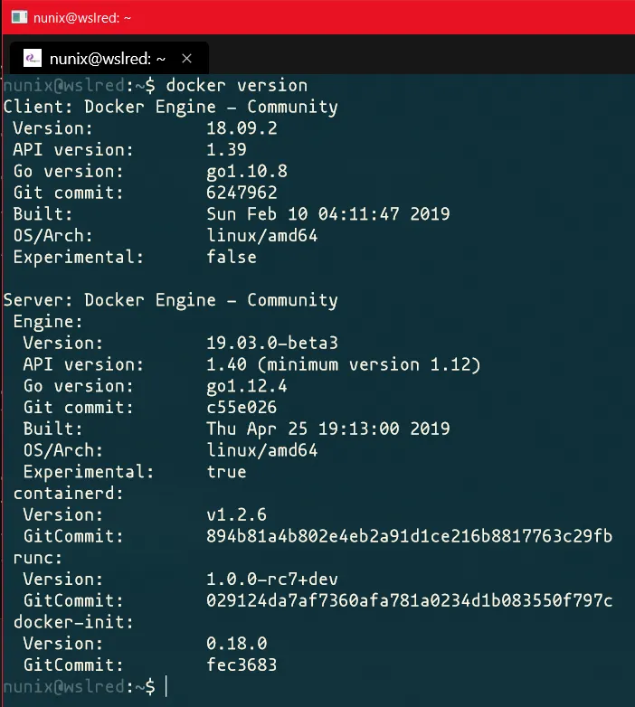 Docker version