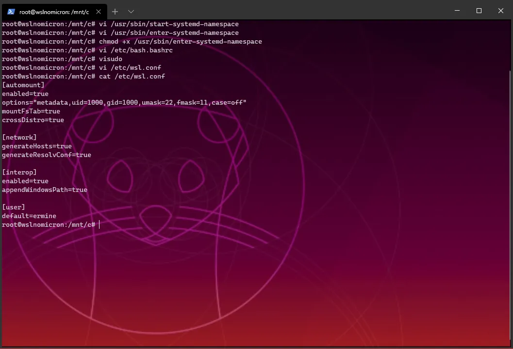 Configuring SystemD