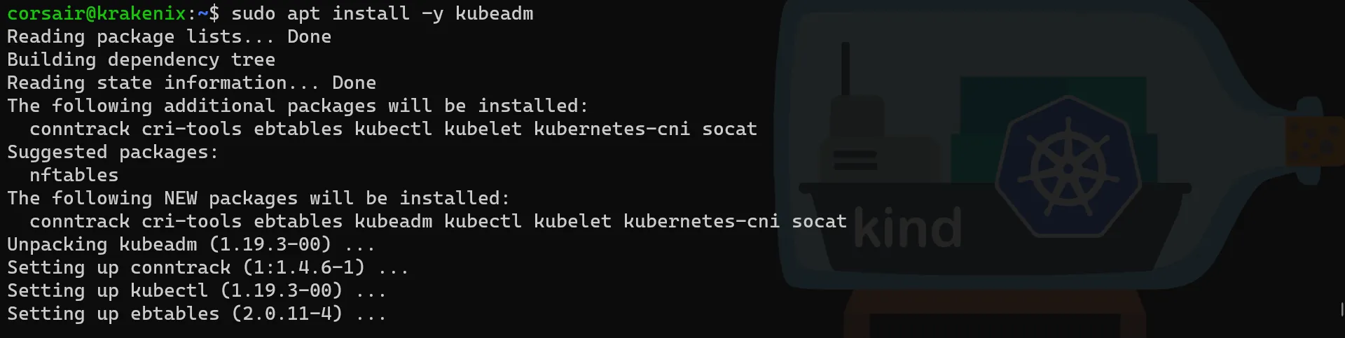 WSL2 kubeadm install