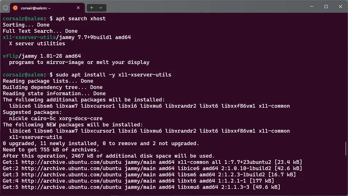 Install xhost