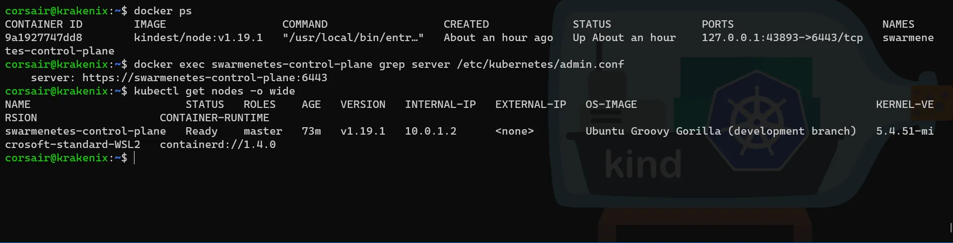 Docker KinD get DNS name and IP