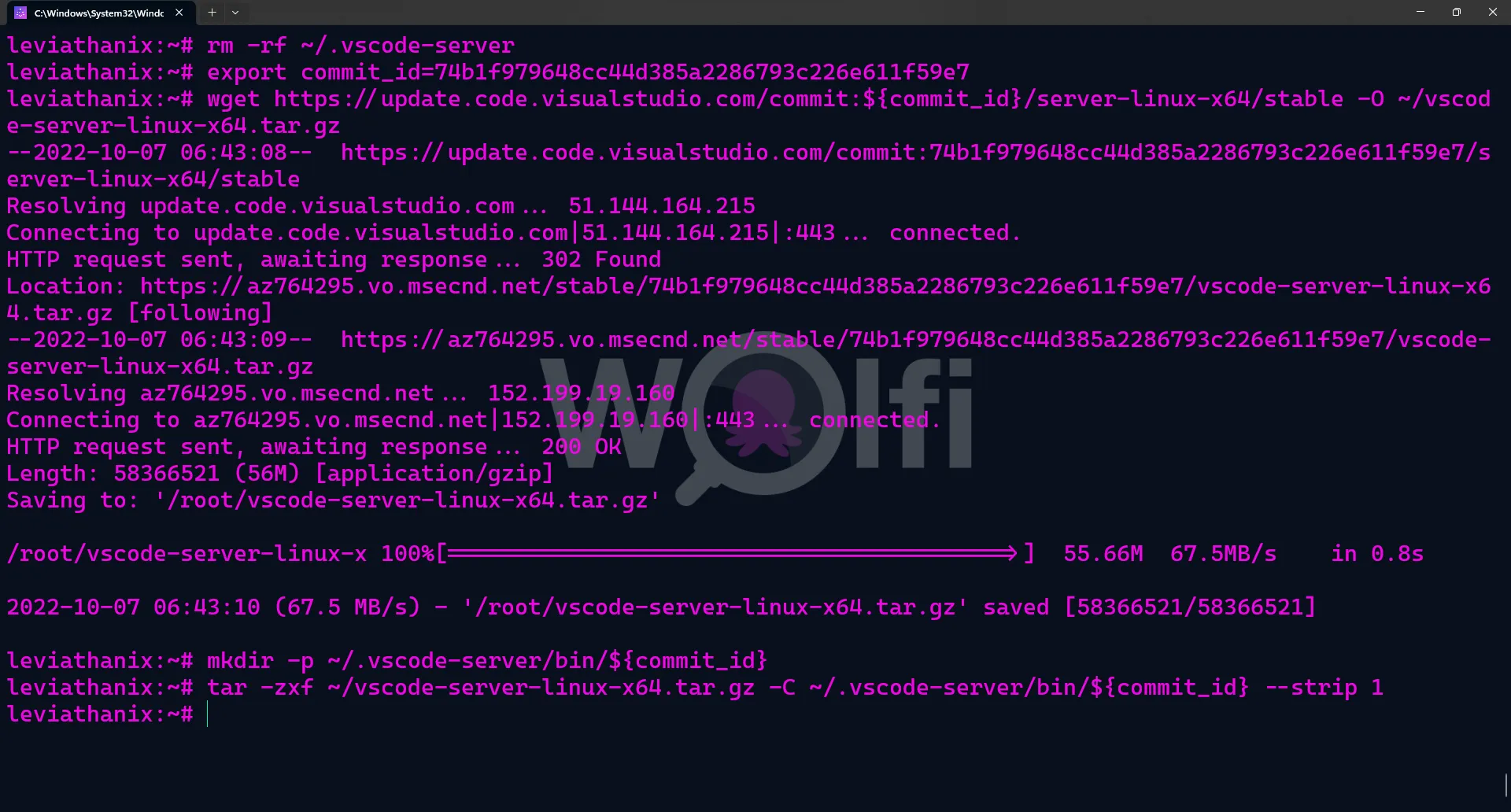 VS Code server install